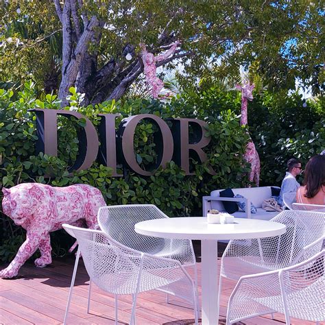 christian Dior florida